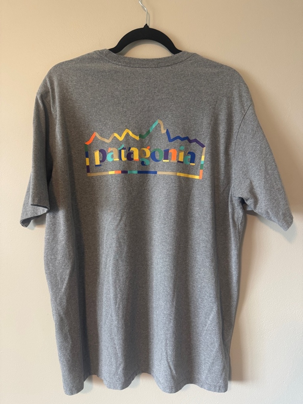 Patagonia Unity Fitz Easy-Cut Responsibili-Tee - Picture 5 of 6